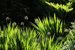 JUNE 2015-45