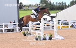 BPP_5031