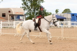 SBM_15619