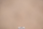 241006A-124811-07335