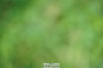 240802A-161124-05720