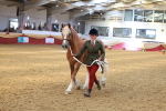SBM_16663