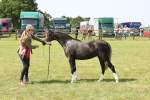 SBM_02423