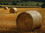 Hay Bales