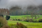 z3963 Misty Landscape, Shanklin Down