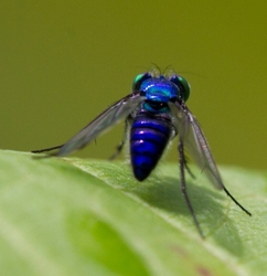 AnimalsCreatures _0028