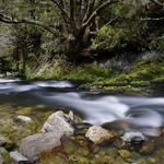 Riuwaka River