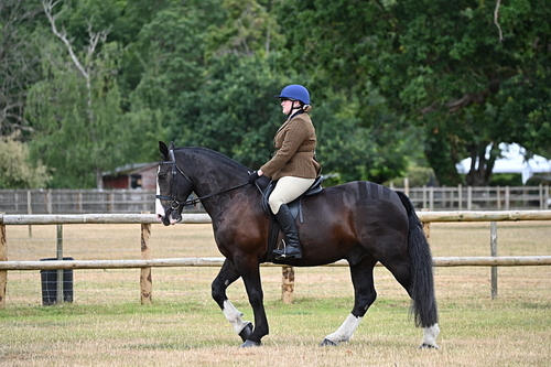 WJ6_3780