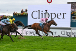 Race 3 3.00pm Clipper Handicap portfolio