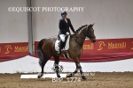 BPP_1774