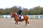 SBM_000868