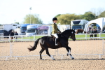 SBM_08777