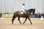 SBM_000905