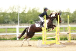 SBM_009538