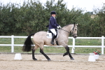 SBM_017919