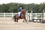 SBM_04390