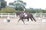 SBM_015941