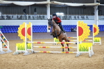 SBM_000955
