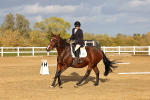 SBM_002818