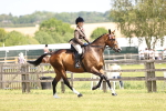 SBM_14946