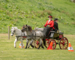 Attelage -947