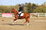 SBM_000979