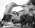Metata Arch