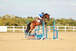 SBM_007939