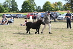 WJ6_7021