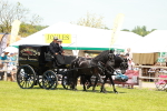 SBM_06617