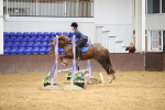 SBM_002731