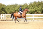 SBM_001019