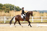 SBM_004233