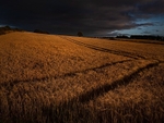 Fading Light.