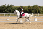SBM_003479