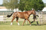 SBM_10433