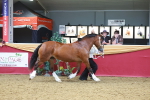 SBM_16632