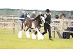SBM_05950