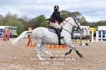 BPP_2341