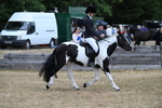 WJ7_7889