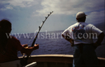 Marlin Hook Up.