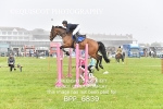 BPP_6839