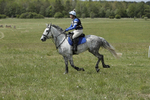 BVHT 140517  IXC -523