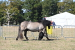 WJ6_4377