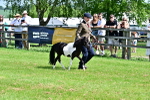 SBM_03537