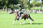 SBM_50382