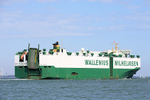 190729 DON PASQUALE SINGAPORE WALLENIIUS WILHELMSEN 1Y3A6125