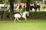 SBM_71630