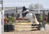 BPP_3692