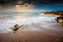 Lines in the Sand